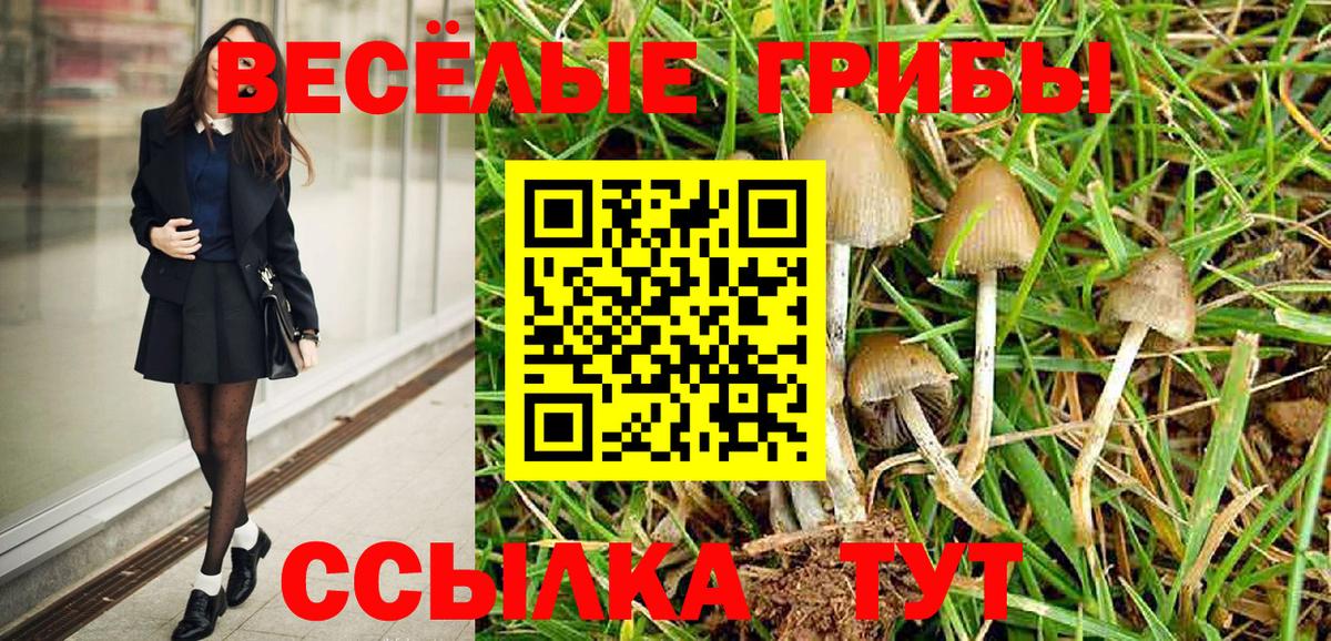 Псилоцибиновые грибы Psilocybine cubensis  купить наркотик  Нефтекумск  Вход с VPN 